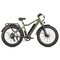 Электровелосипед Volteco Gelbert Pegas 1 PRO Зеленый